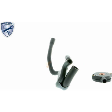 V20-1920 Reparatursatz, Kurbelgehäuseentlüftung EXPERT KITS + V20-1920 Reparatursatz, Kurbelgehäuseentlüftung EXPERT KITS +