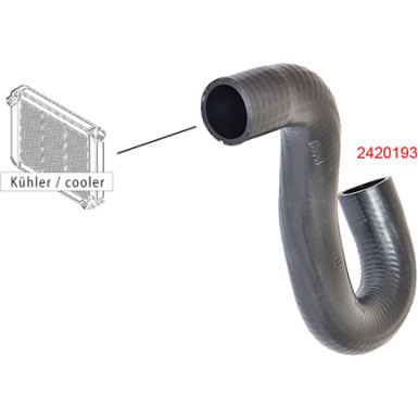 2420193 Kühlerschlauch
