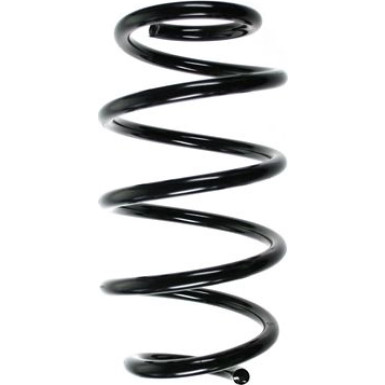 Spidan | Fahrwerksfeder | 56846