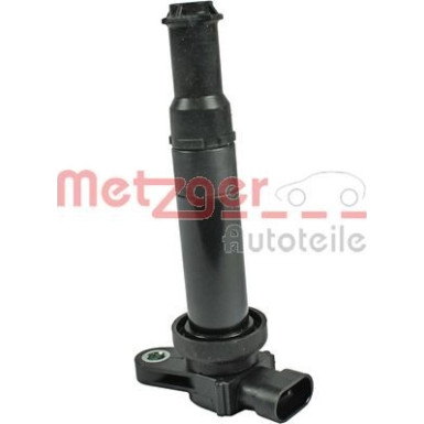 0880443 Zündspule 0880443 Zündspule