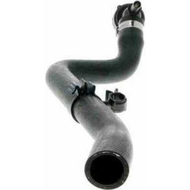 Vaico | Kühlerschlauch | V10-2348