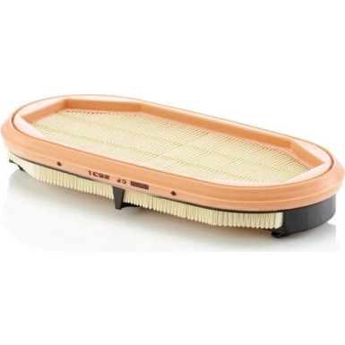 CF 2631 Sekundärluftfilter IQORON-V