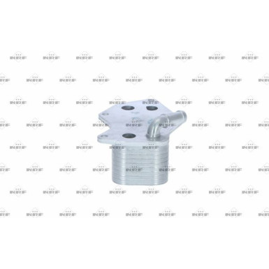 NRF | Ölkühler, Motoröl | 31331