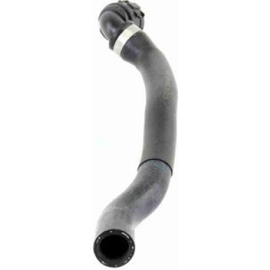 Vaico | Kühlerschlauch | V20-1475