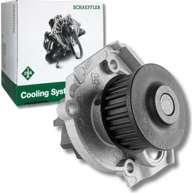 538 0062 10 Wasserpumpe, Motorkühlung