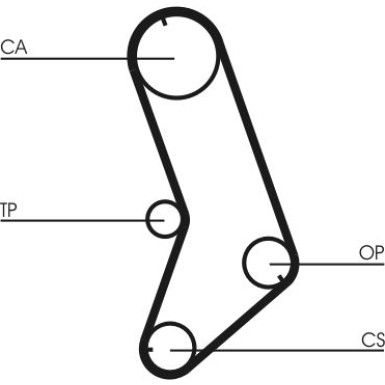 CT647 Zahnriemen CT647 Zahnriemen