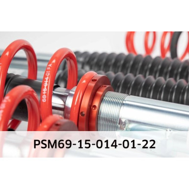 PSM69-15-014-01-22 Fahrwerkssatz, Federn/Dämpfer Eibach Pro-Street-Multi PSM69-15-014-01-22 Fahrwerkssatz, Federn/Dämpfer Eibach Pro-Street-Multi