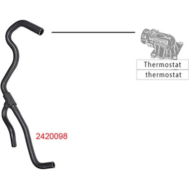 2420098 Kühlerschlauch