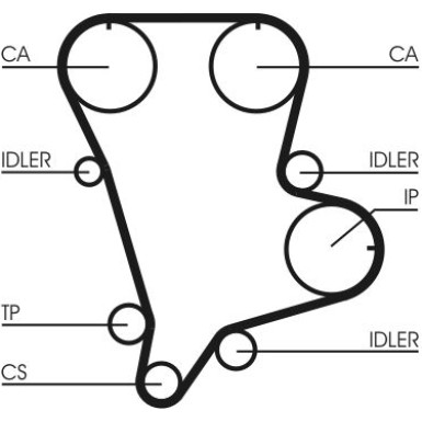 CT994 Zahnriemen