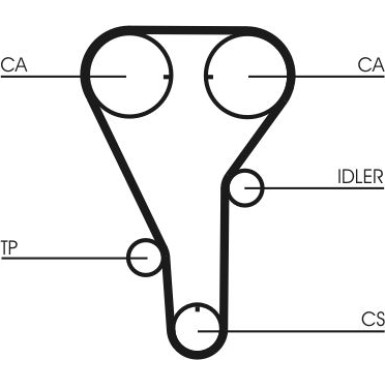 CT972 Zahnriemen CT972 Zahnriemen