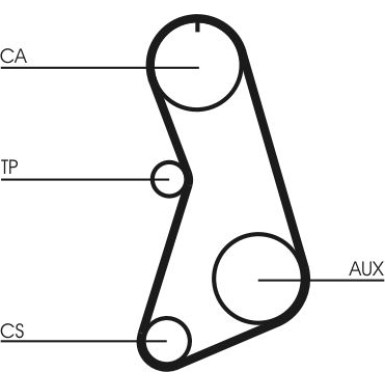 CT647 Zahnriemen CT647 Zahnriemen