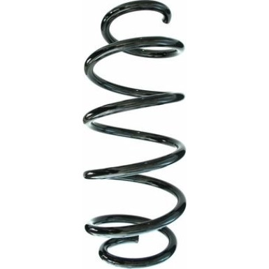 Spidan | Fahrwerksfeder | 87443