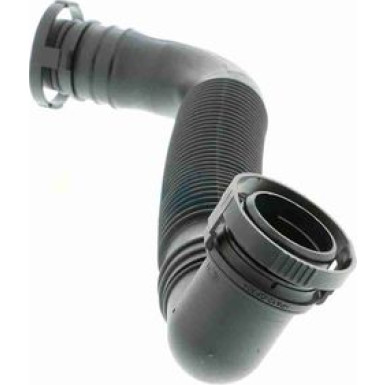 Vaico | Schlauch, Luftversorgung | V10-2527