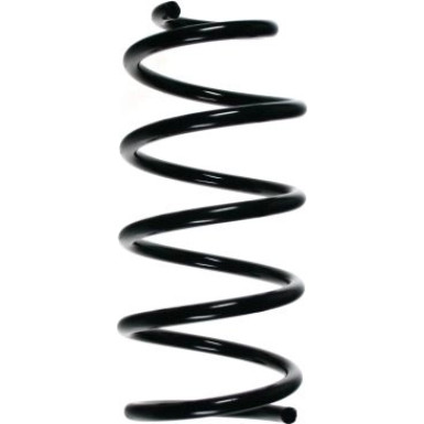 Spidan | Fahrwerksfeder | 55257