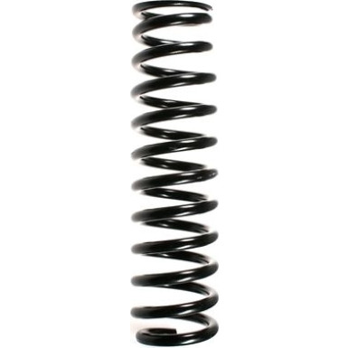 Spidan | Fahrwerksfeder | 49321