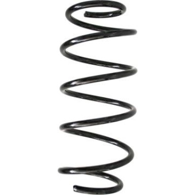 Spidan | Fahrwerksfeder | 55259