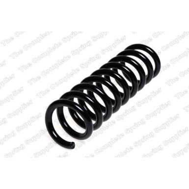 4256824 Fahrwerksfeder