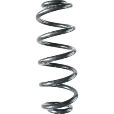 Spidan | Fahrwerksfeder | 88401