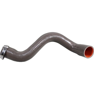2401034 Ladeluftschlauch