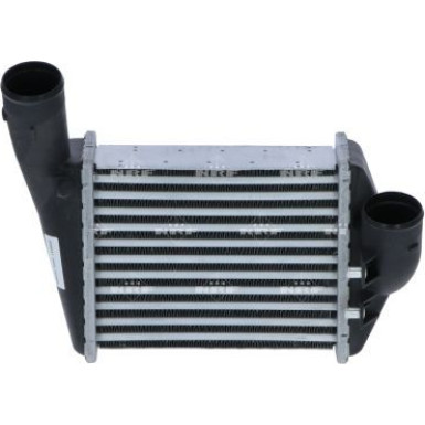 309031 Ladeluftkühler