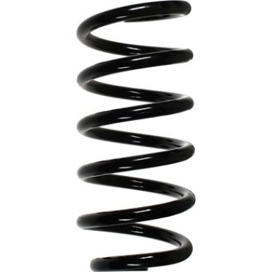 Spidan | Fahrwerksfeder | 55944