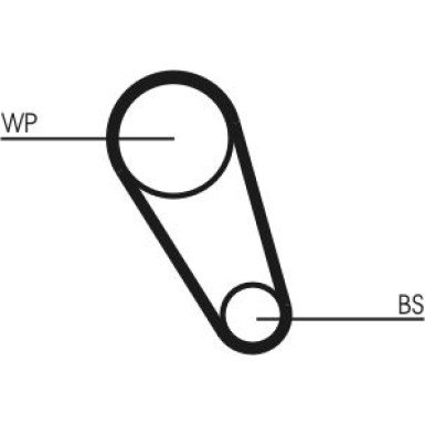 CT1143WP1 Wasserpumpe + Zahnriemensatz
