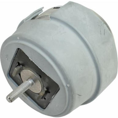 8053752 Lagerung, Motor