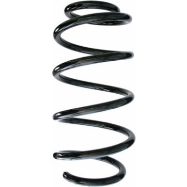 Spidan | Fahrwerksfeder | 87649