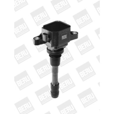 BorgWarner (BERU) | Zündspule | ZSE066