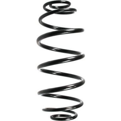 Spidan | Fahrwerksfeder | 49759