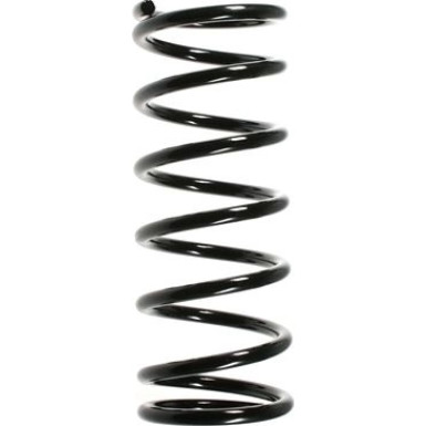 Spidan | Fahrwerksfeder | 49678