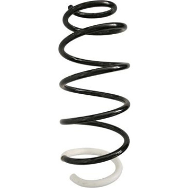 Spidan | Fahrwerksfeder | 87355