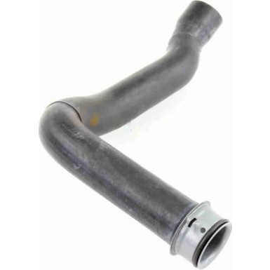 Vaico | Kühlerschlauch | V30-1659 Vaico | Kühlerschlauch | V30-1659