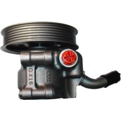Spidan | Hydraulikpumpe, Lenkung | 54061