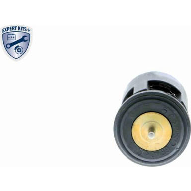 V15-99-2019 Thermostat, Kühlmittel EXPERT KITS +