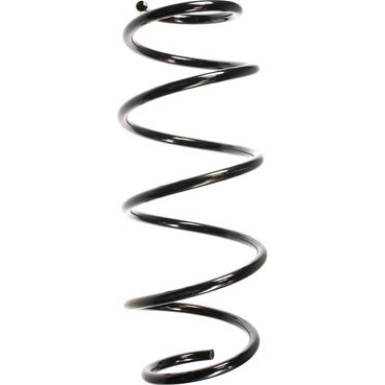 Spidan | Fahrwerksfeder | 55273