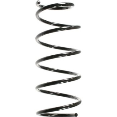 Spidan | Fahrwerksfeder | 49055