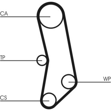 CT503 Zahnriemen