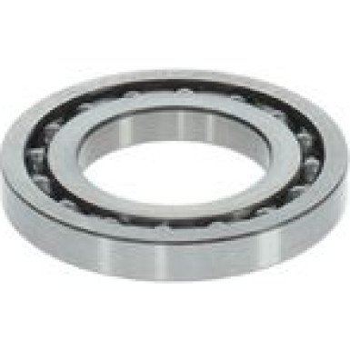 BOSCH | Lager | 1 460 925 001