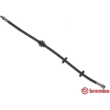 Brembo | Bremsschlauch | T 23 184