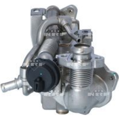 48456 Kühler, Abgasrückführung