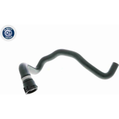 Vaico | Kühlerschlauch | V10-2811