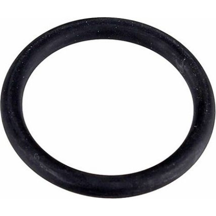 Dichtring 2430156