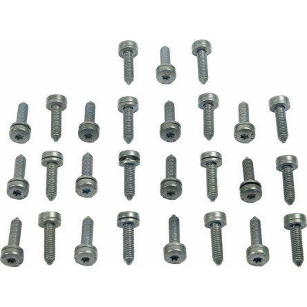 Schraubensatz, Ölwanne-Automatikgetriebe 8029028 Schraubensatz, Ölwanne-Automatikgetriebe 8029028