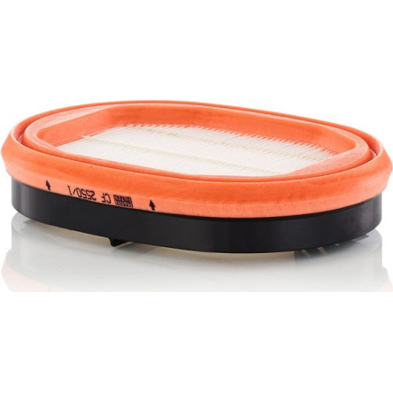 Sekundärluftfilter CF 2550/1 Sekundärluftfilter CF 2550/1