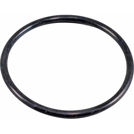 Dichtung, Thermostatgehäuse 4010518 Dichtung, Thermostatgehäuse 4010518