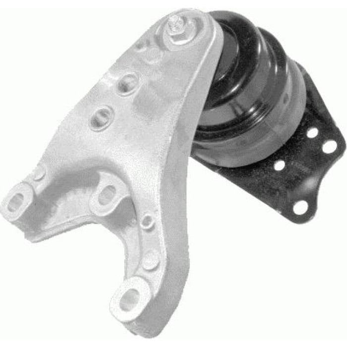 Lemförder 30542 01 Lagerung, Motor