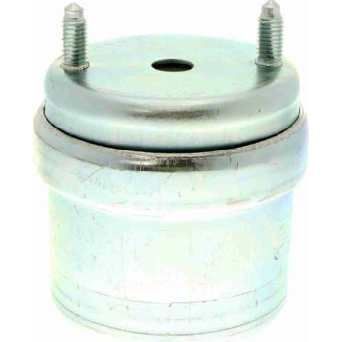 Vaico V10-8209 Lagerung, Motor