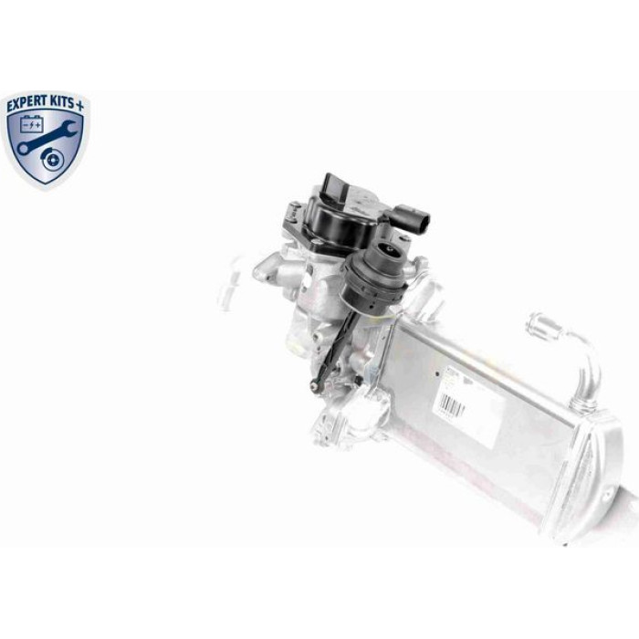 AGR-Ventil V10-63-0050 AGR-Ventil V10-63-0050