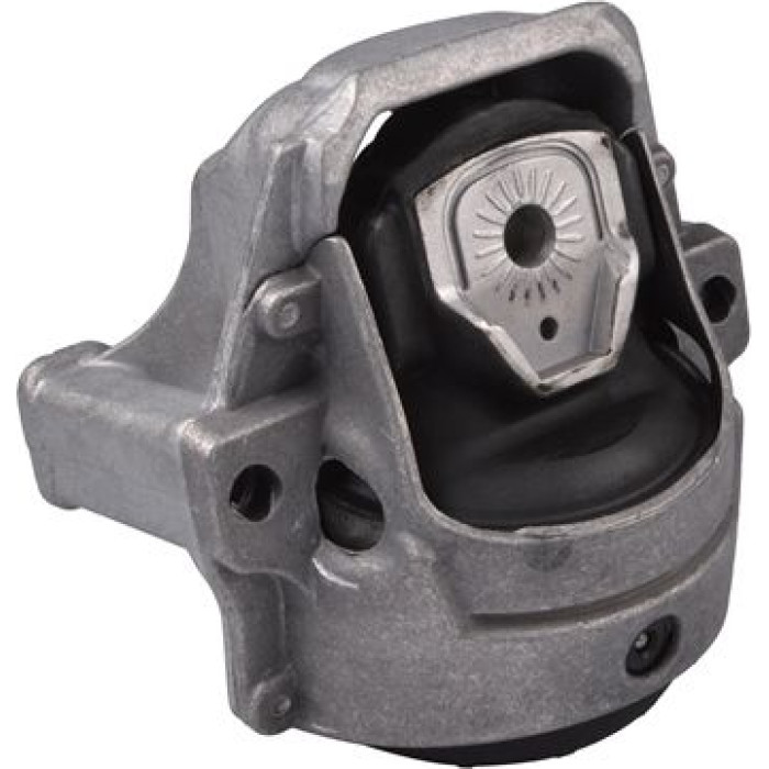 Tedgum 00058470 Lagerung, Motor
